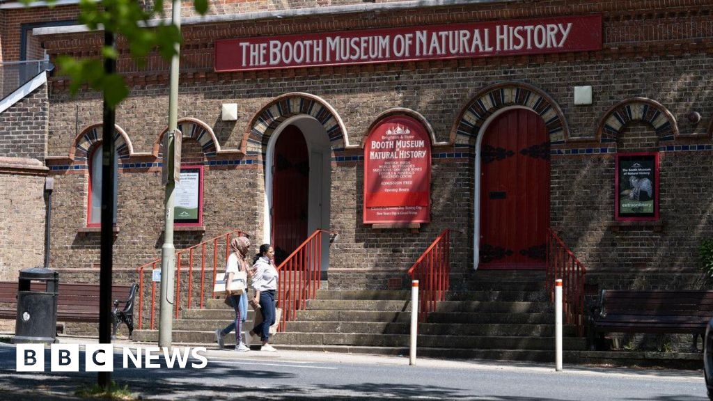 The Booth Natural History Museum in Brighton closes for upgrades