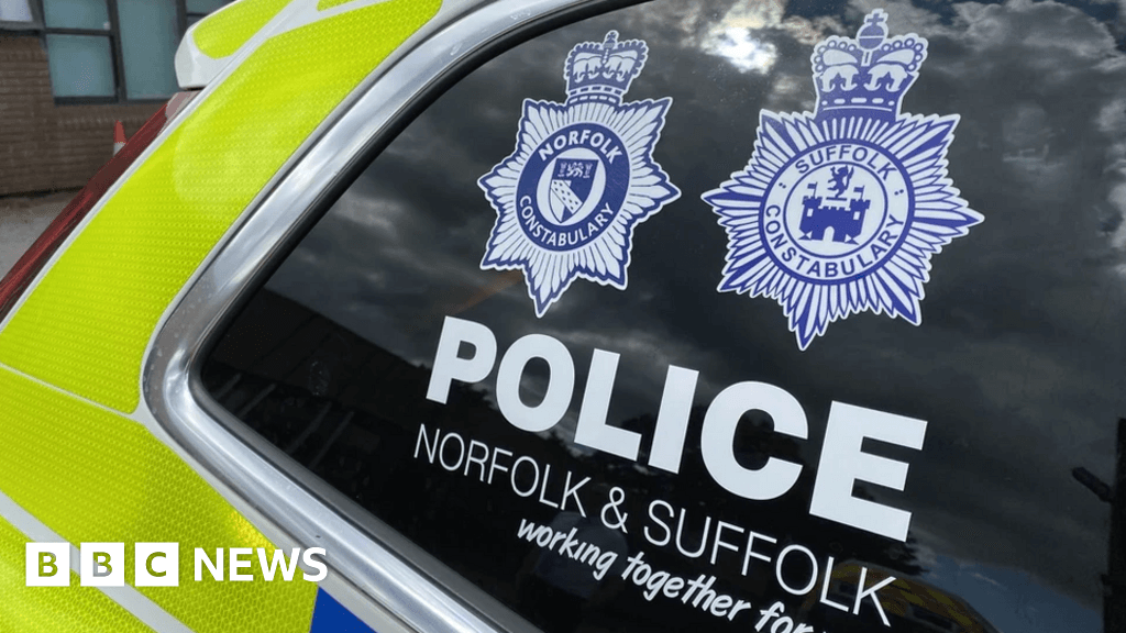 Investigation into ammunition left on Norfolk police car's roof