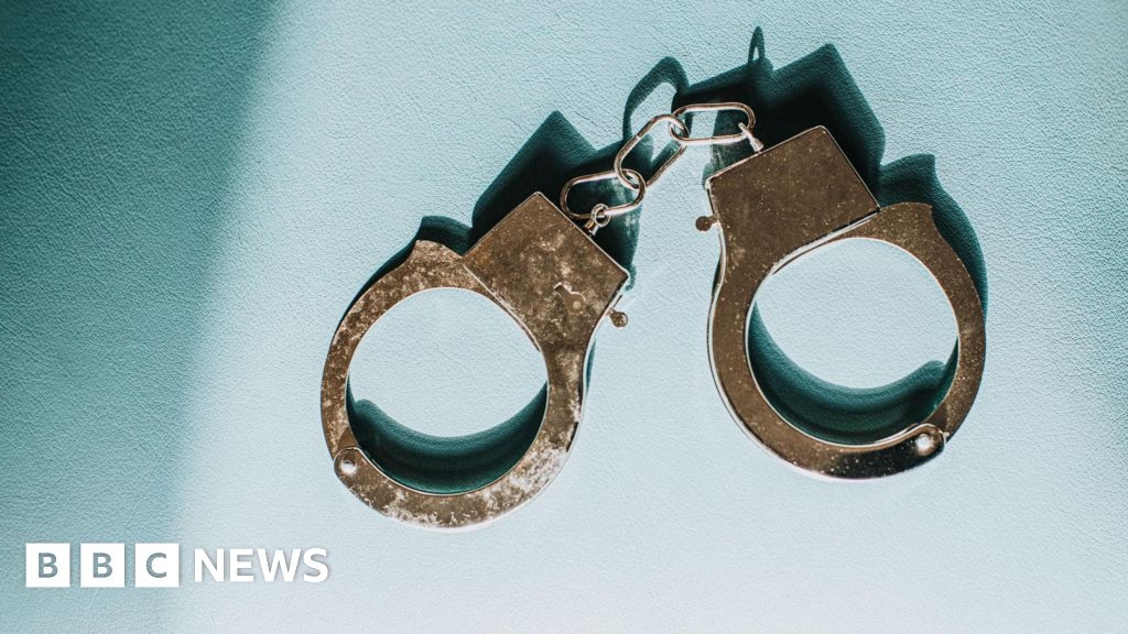 Japan: Elementary school teachers arrested over indecent images