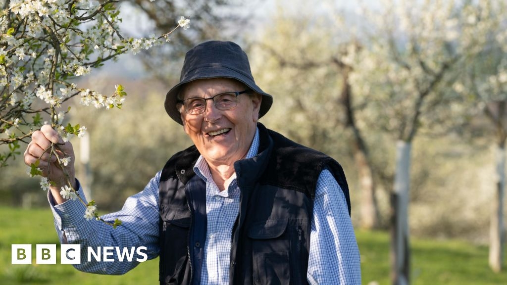 Damson festival continues Lyth Valley tradition