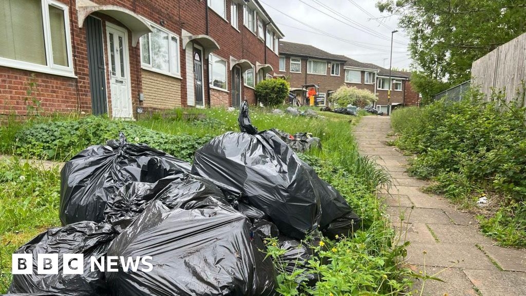 Birmingham bin strikes: Police cut officer numbers on pickets
