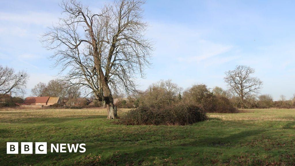 Wenny Meadow homes approved despite 551 objections