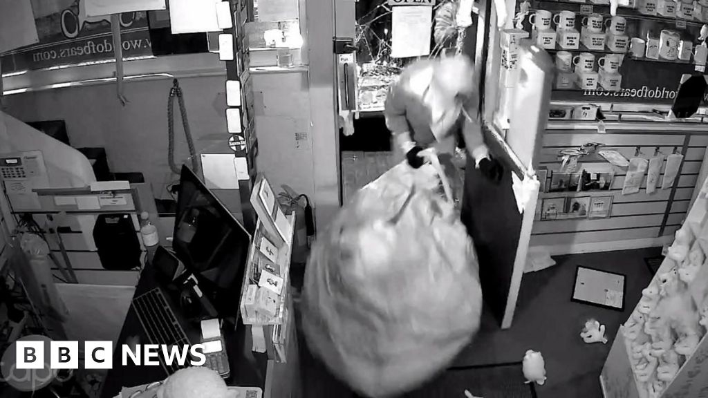 Jellycats worth £20k stolen from Cheddar bear shop by ram raiders
