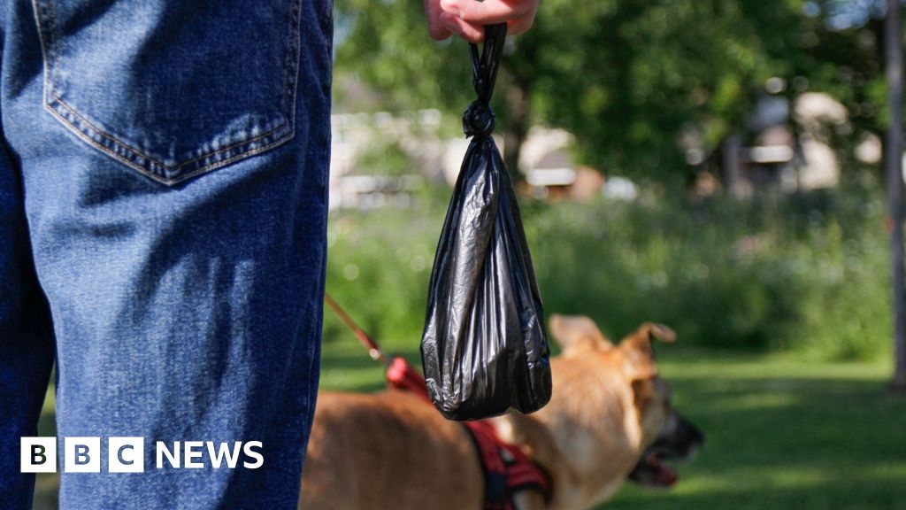 Belfast: Councillors call for clamp down on dog fouling