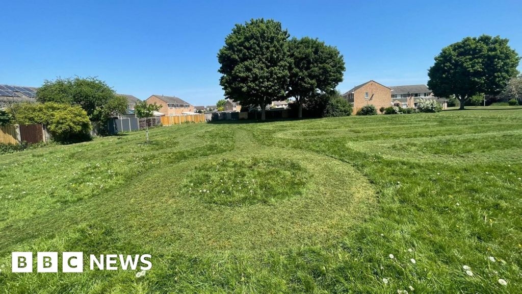 Bridgwater set to get new wildlife zones