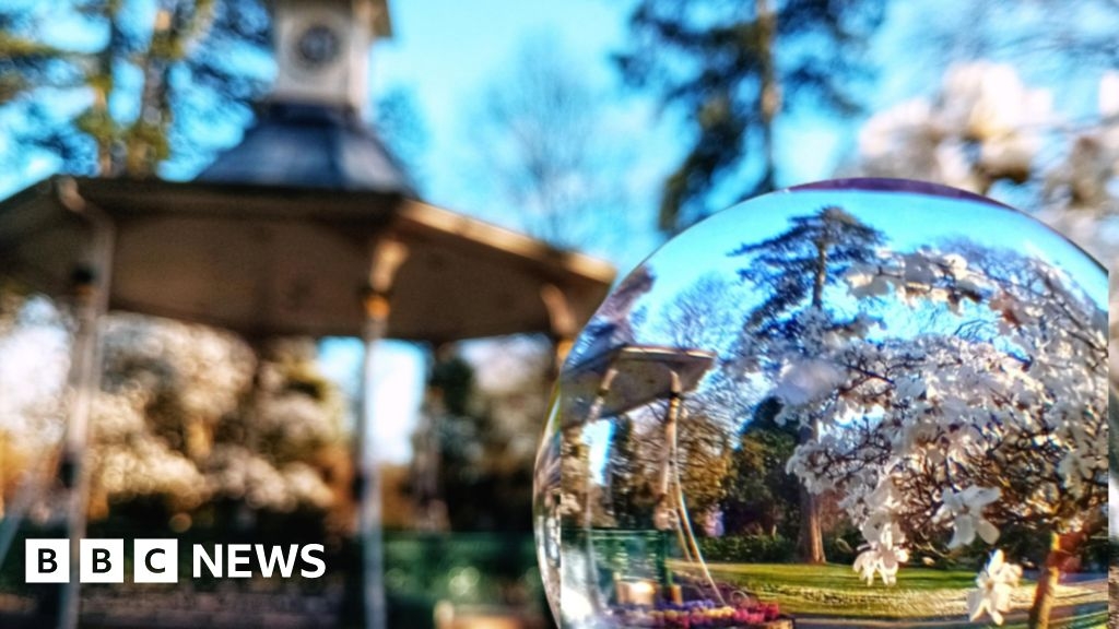 Wiltshire in Pictures: Sunshine, wonky roads and pigeons