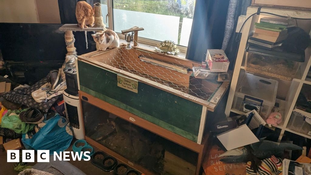 Animal ban for couple who kept 29 pets in flat in Exeter