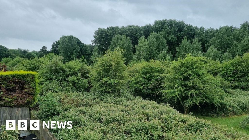 Campaign saves green space at Grafton Stables from redevelopment