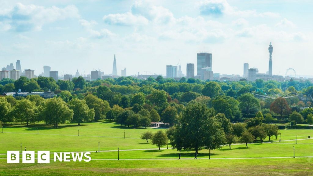 Kew Gardens expert urges a new approach to looking after trees