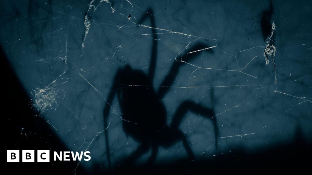Sussex police officer caught stealing suspect's spider