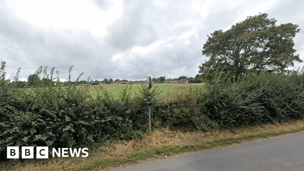 Dorset village development given go-ahead by inspector