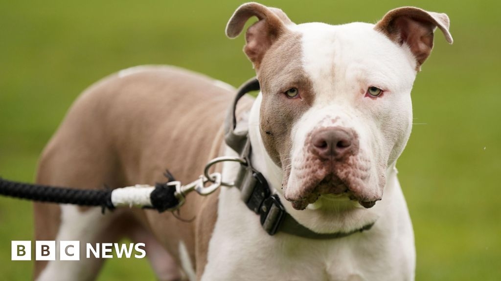 Hertfordshire Police force spent £215,018 on kennelling dogs