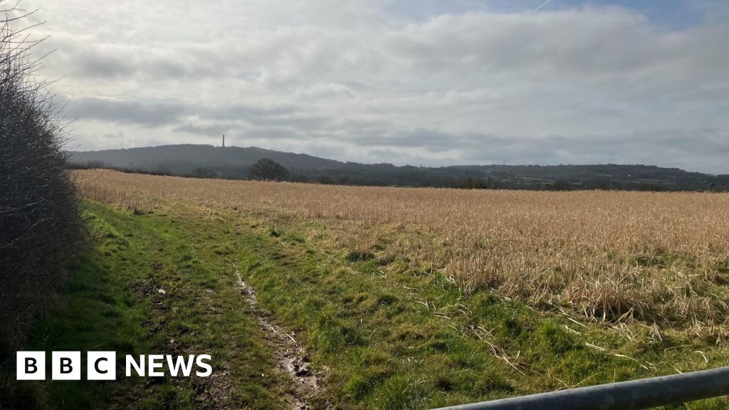 Wellington A38 homes approval would be "thin end of the wedge"