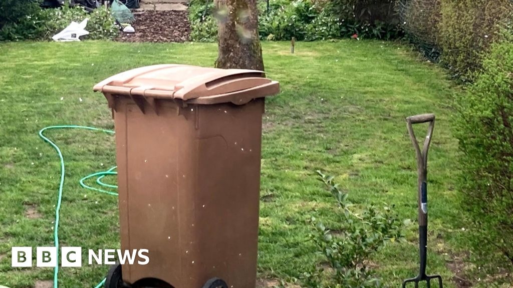 Norfolk councils to increase cost of brown bin collection