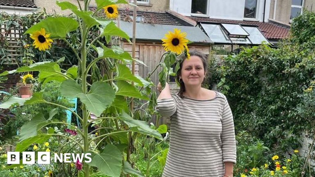 Bristol: New scheme to 'bring back nature' to Barton Hill