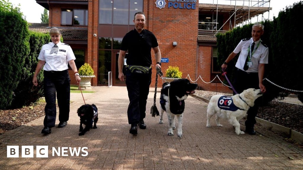 The four-legged friends supporting Warwickshire Police staff
