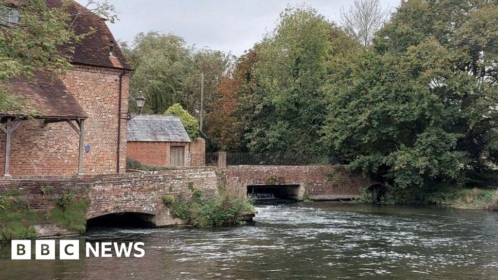 Protest over 'shelved' chalk stream recovery plan