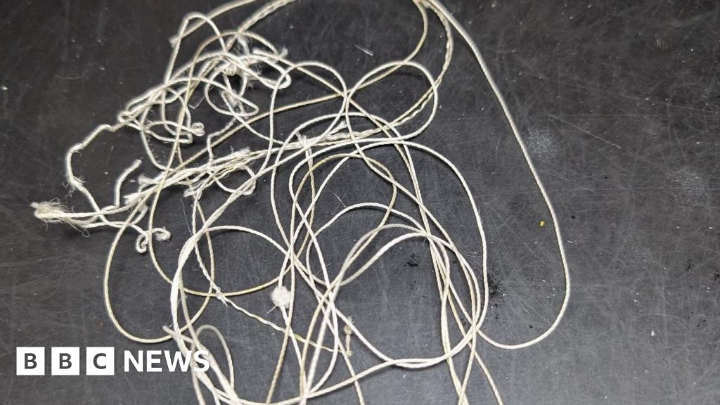 Bradford: Litter warning after gull tangled in string put down