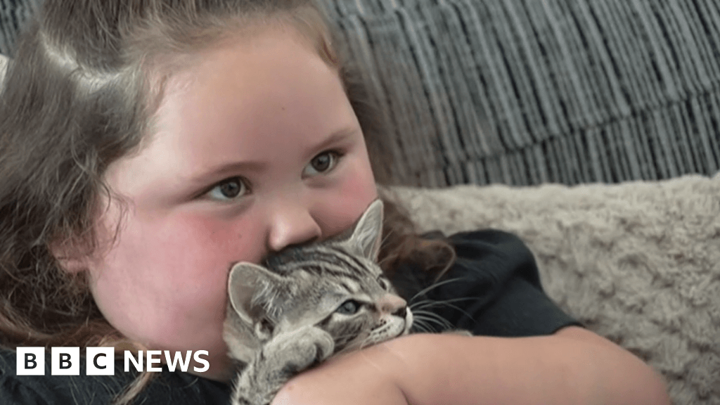 Girl, 3, from Rainham abused online after dog attack