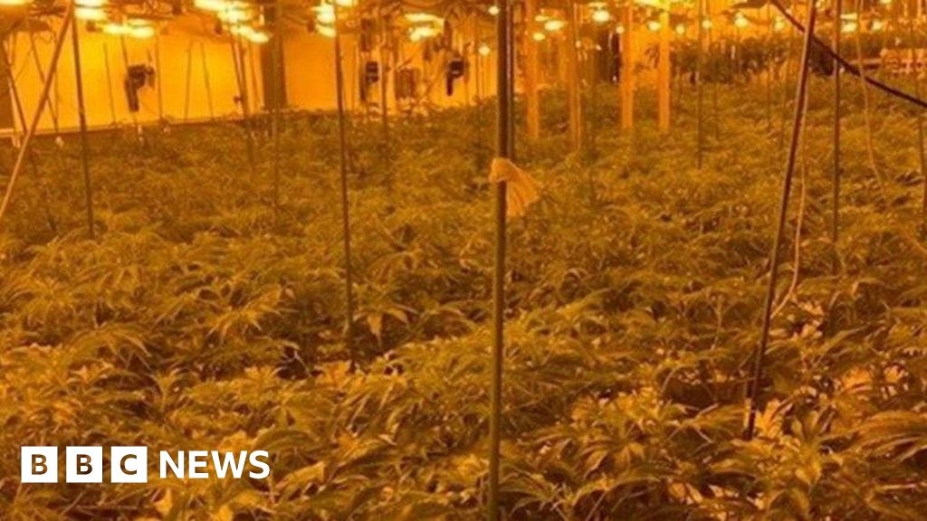Two men jailed over £400,000 Hull cannabis factory