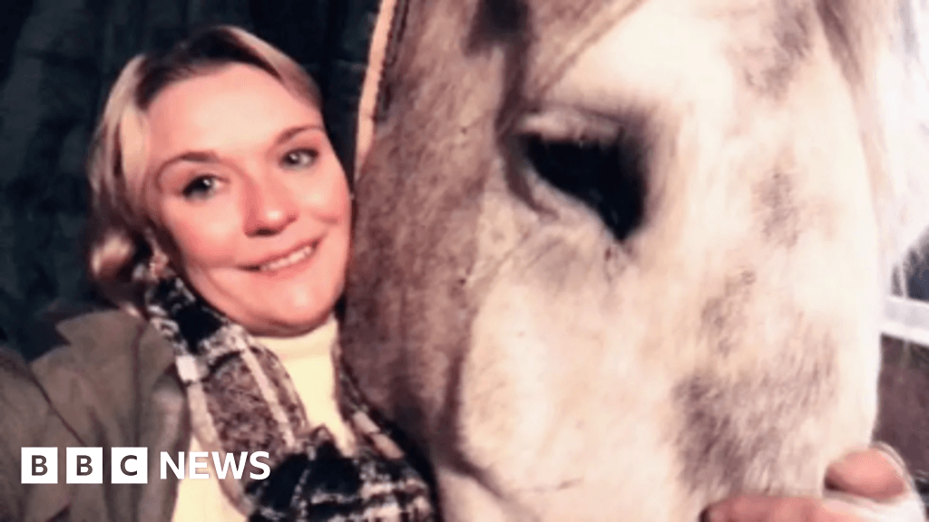 Police horse's former owner fundraising to bring him home