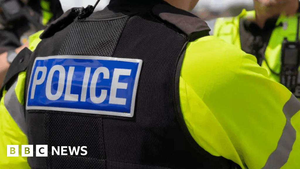 Castle Cary firearm report leads to arrest of teenager