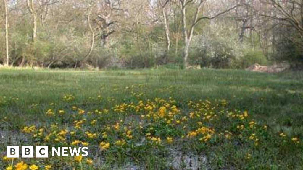 Wildlife Trusts object to new homes plan near Peterborough