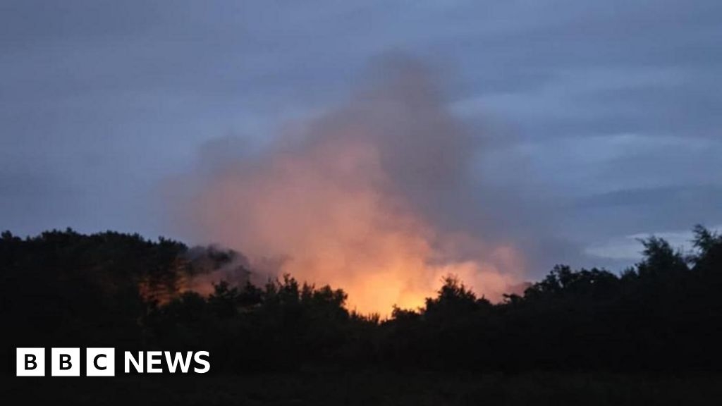 Fire significantly damaged wildlife, says Norfolk fire service