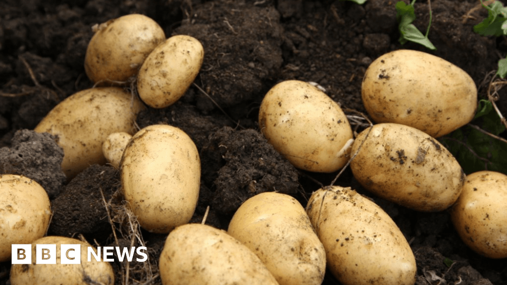 Devon-based food group given £1.5m to redistribute surplus crops