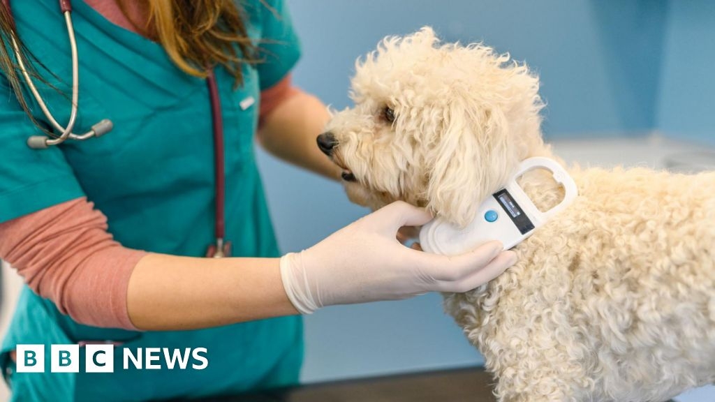 Warning to check pet microchip details or face fine