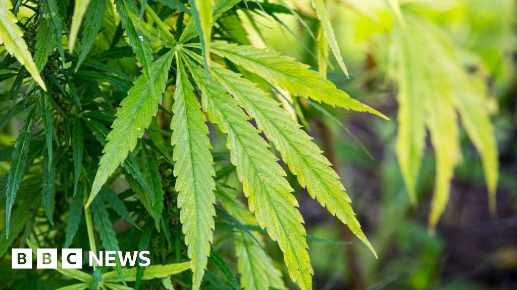 Empty Stoke-on-Trent properties targeted in cannabis crackdown