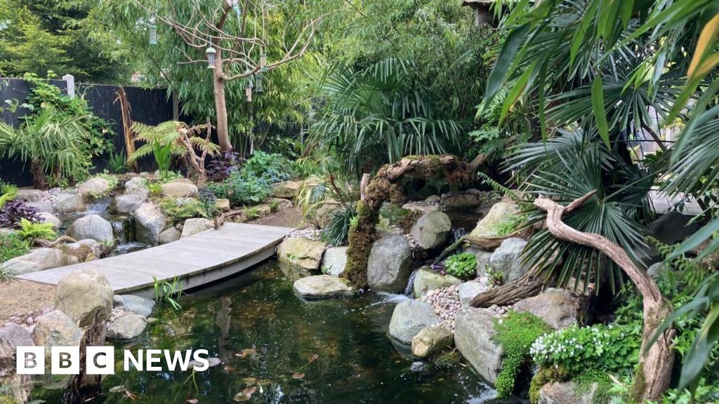 In pictures: The rainforest garden hidden in Delapre town centre