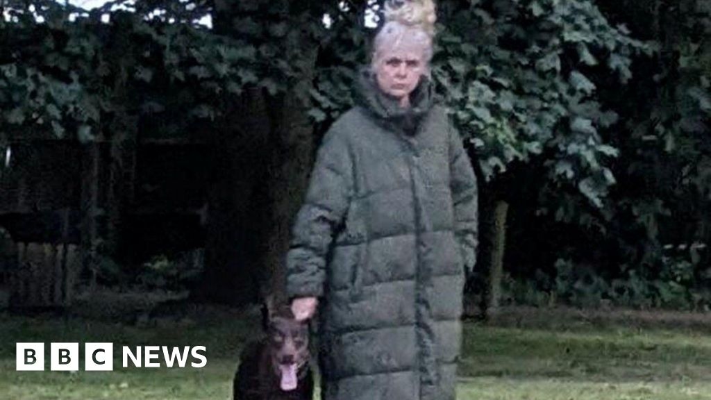 Woman sought after boy attacked by dogs in Bexhill park