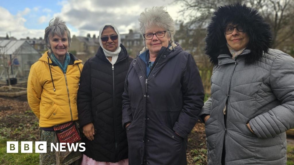 Bradford: Rent-free allotment move could revive overgrown plots