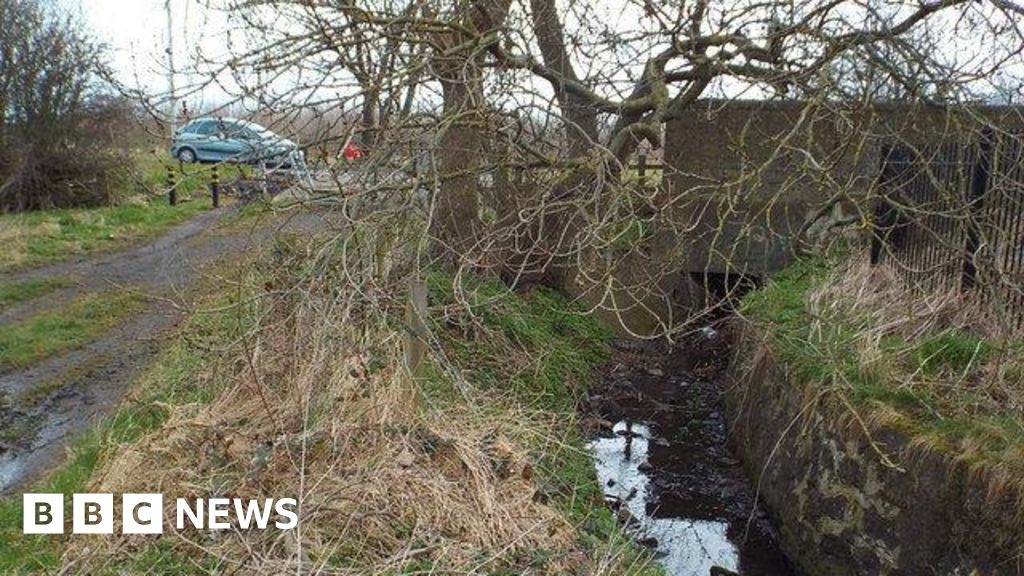 Wastewater 'likely cause' of Seaburn dene stream pollution