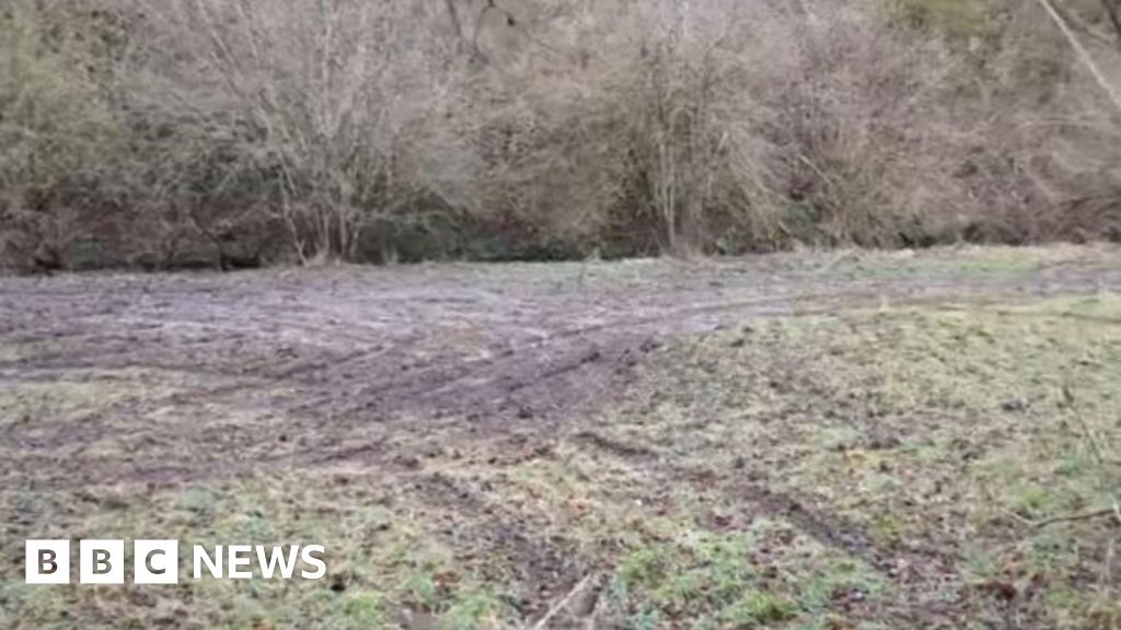 Gloucestershire Wildlife Trust 'disappointed' by 4x4 damage