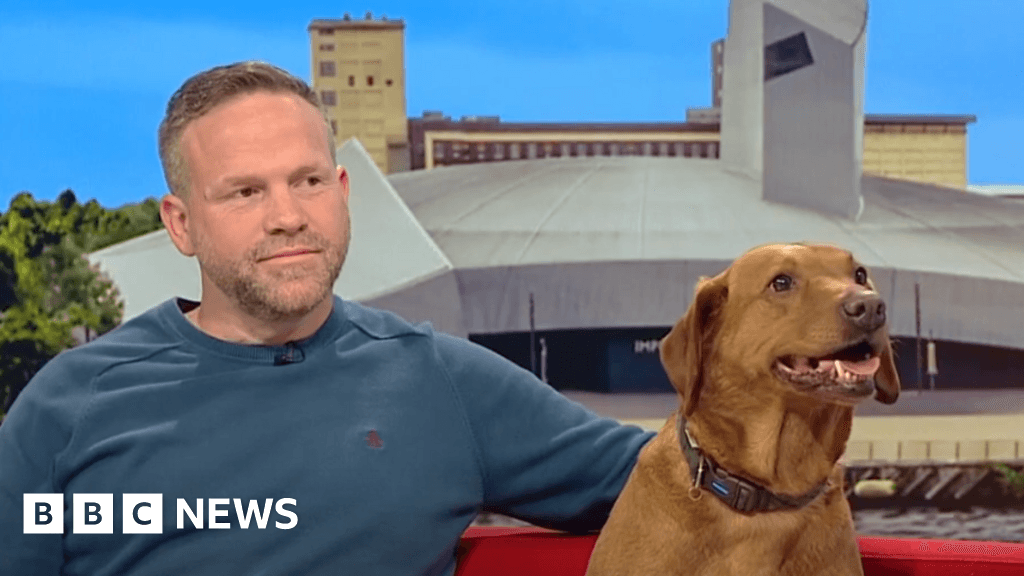 Dog attacks have become a huge problem, says Suffolk pet expert