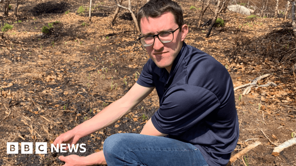 Mournes wildfires: Plea for new approach to stop devastating blazes