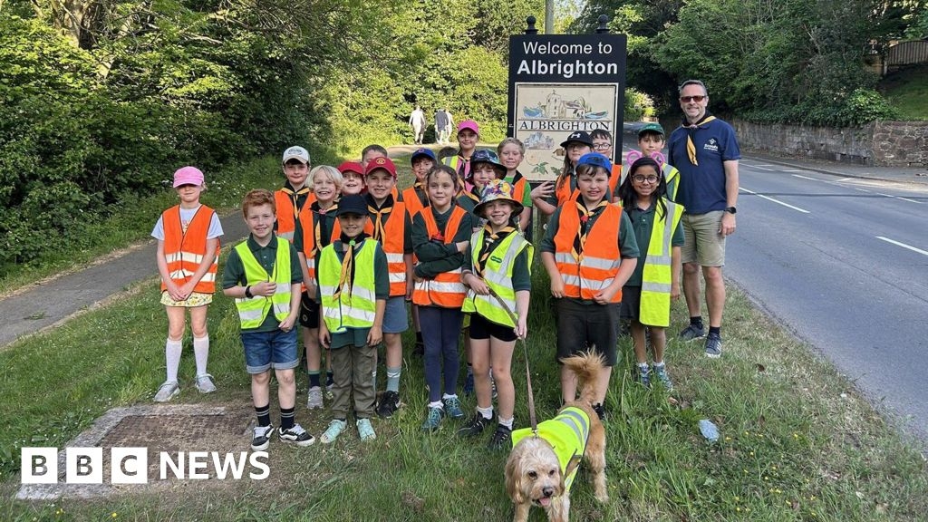 Hundreds of wildflowers to be planted on Albrighton verge