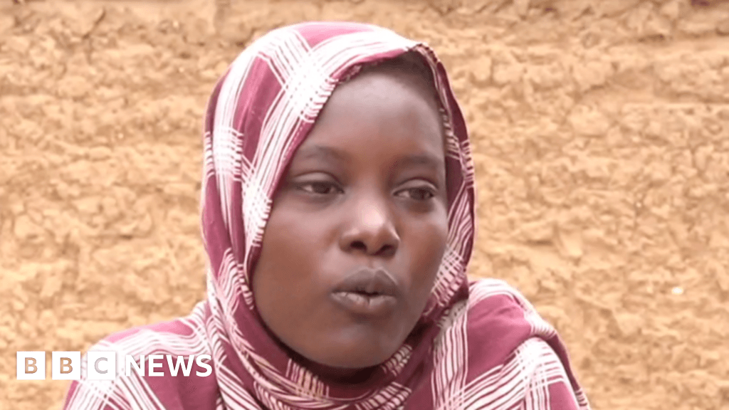 Sudan civil war: Losing a baby, rescuing a child and dodging air strikes in Darfur