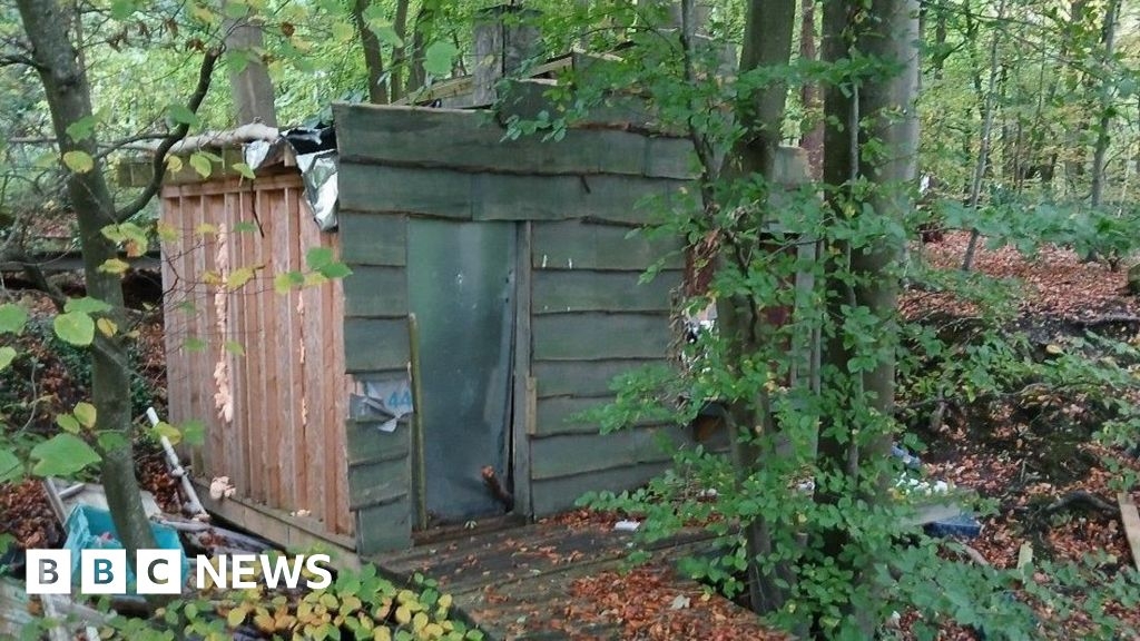 Man given suspended sentence over illegal woodland building