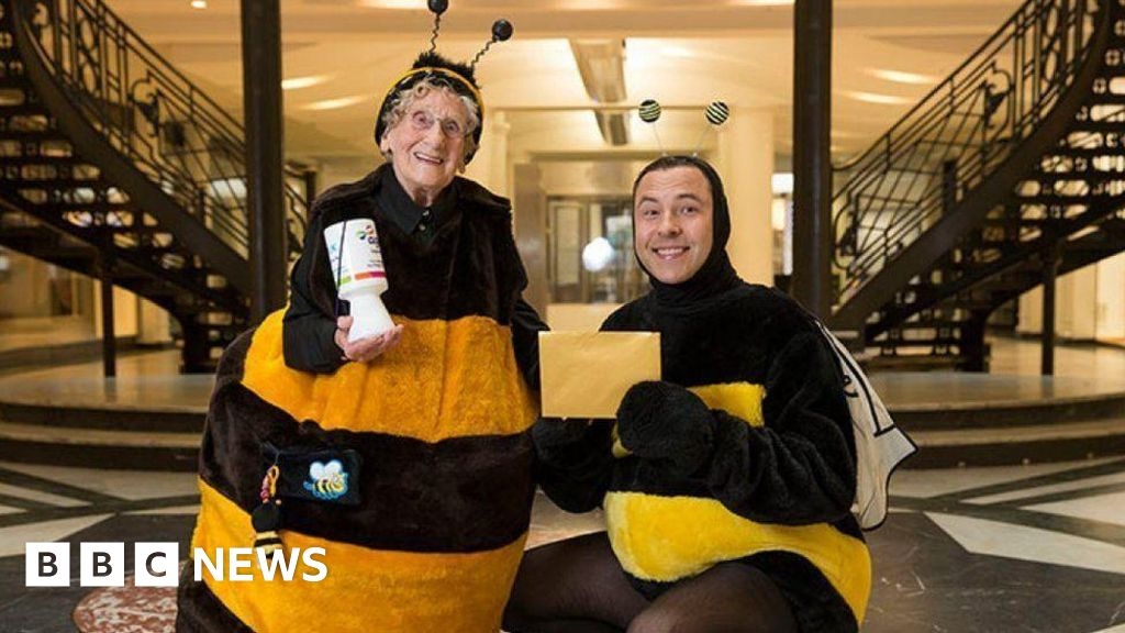 Knitted bees to create a buzz for Hull Bee Lady Day