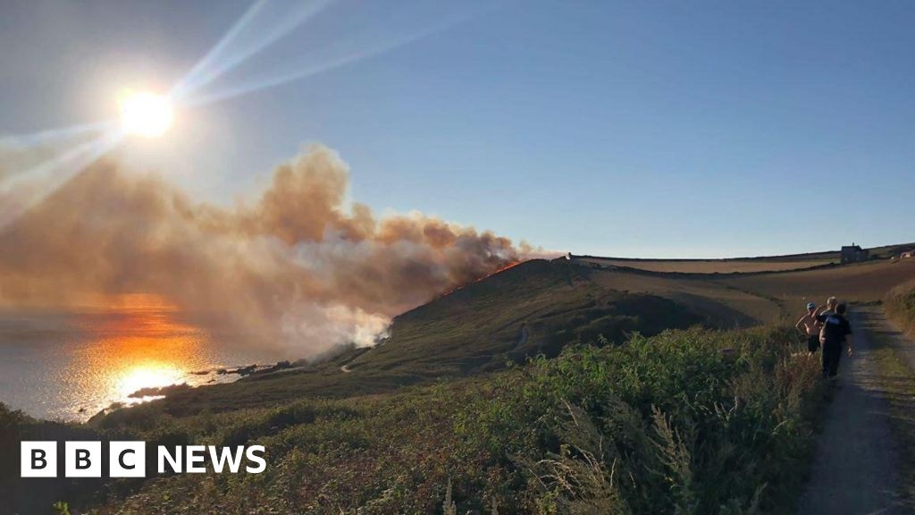 Public asked not to use barbecues on moors after Somerset wildfire