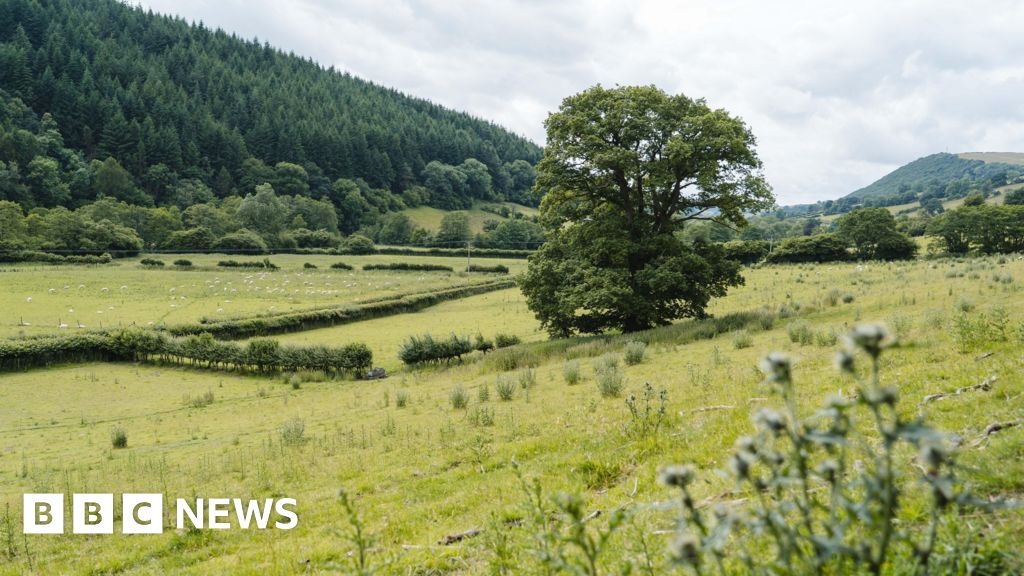 Two new Shropshire woodlands celebrate King's Coronation