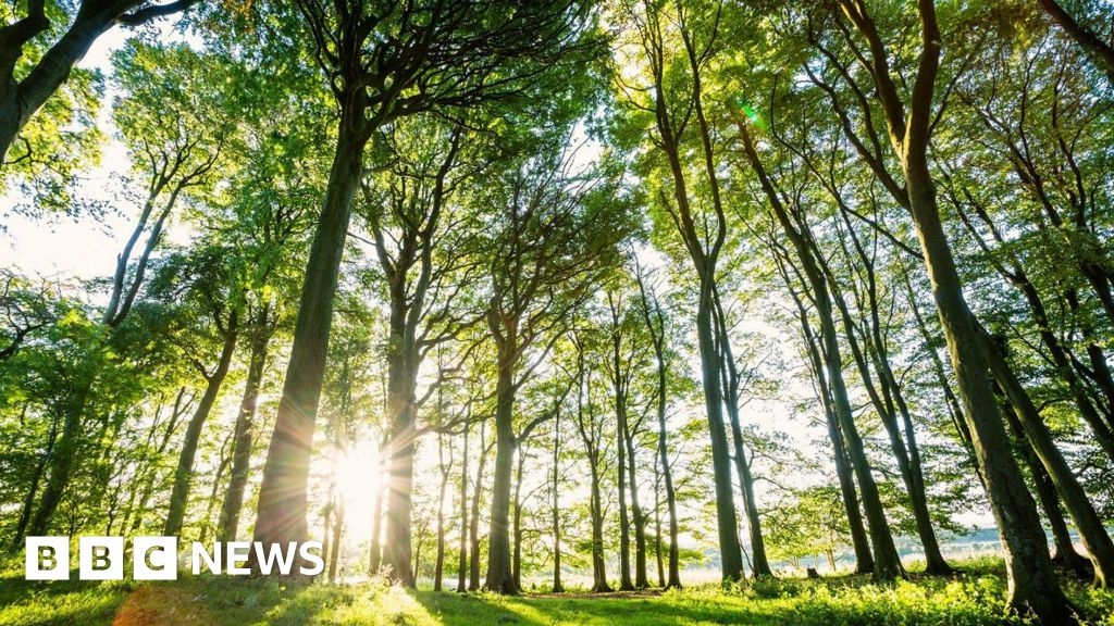 Consultation begins on plans for South Downs National Park