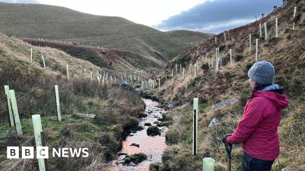 Thousands of trees planted in Pennines Forest project