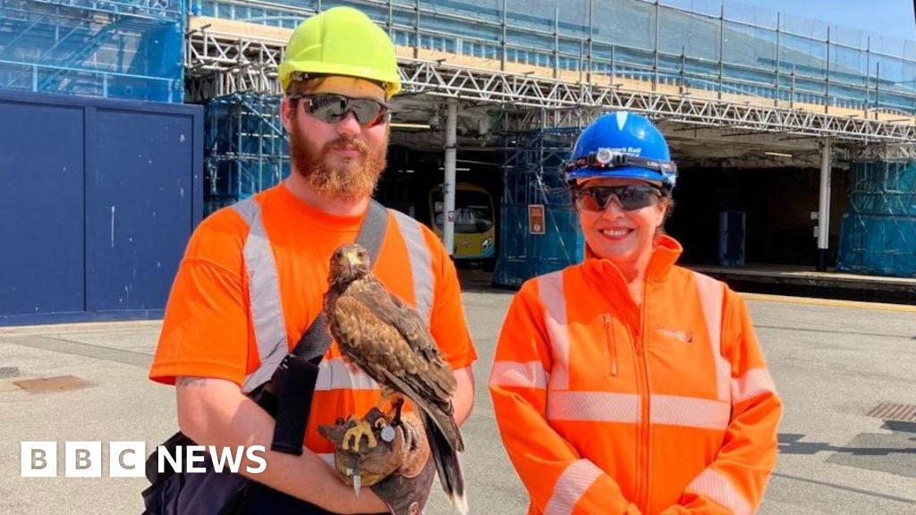 Raptors keep £14m Scarborough station repairs on track