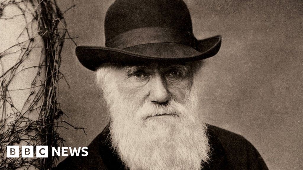 Cambridge collection among Darwin archives recognised by Unesco