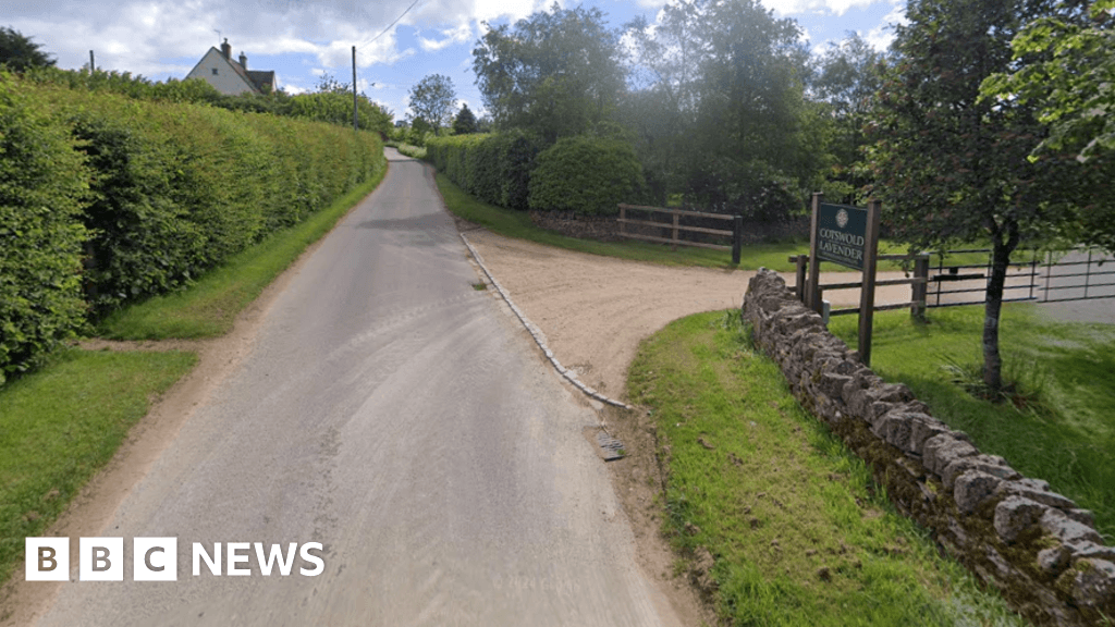 Crash near Cotswolds lavender field leaves driver in hospital