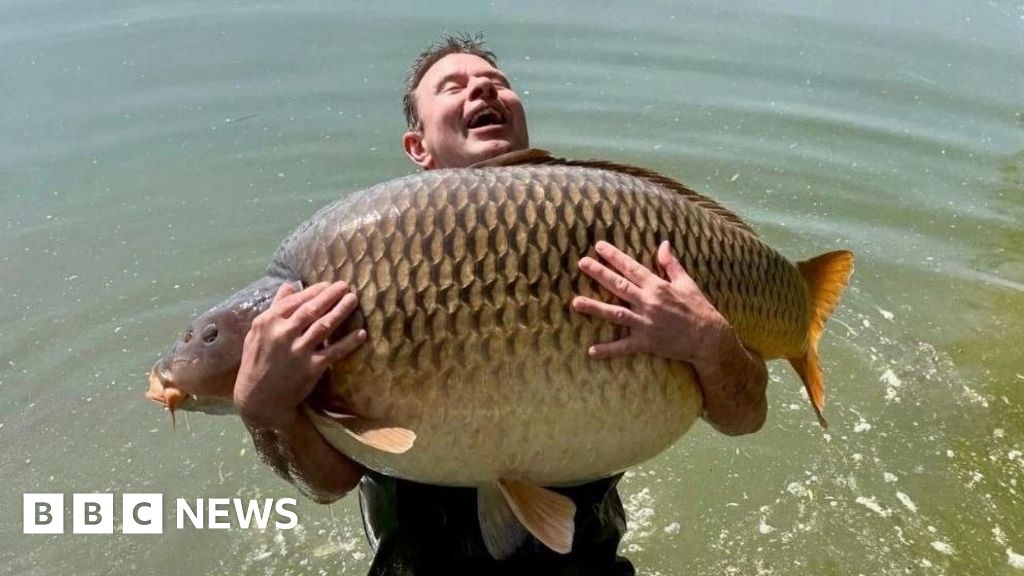 Giant carp angler spent 18 months preparing for 'surreal' catch
